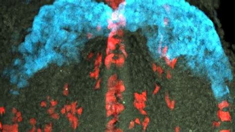 कैसे बनता है किसी का दिल... हैरान कर देगा Heart के बनने का ये Video ...