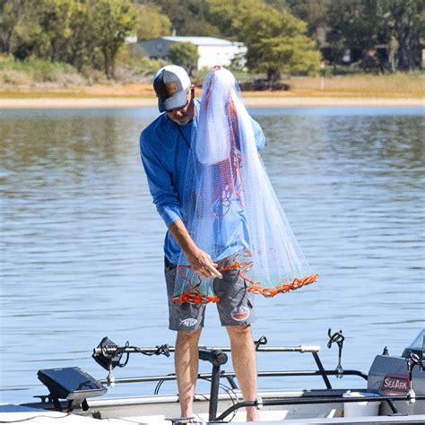 Cast Net Fishing Tips 的图像结果