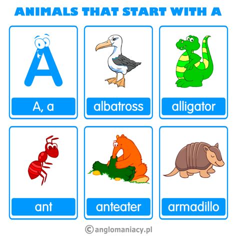 Animals Pictures With Names For Kids Download