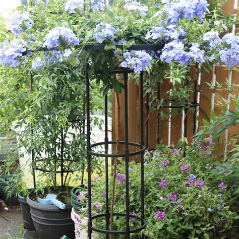 Garden Trellis For Climbing Plants Flowers, 90-210cm Tall Metal Plant ...