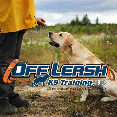 Off Leash K9 Training Review [2025 Upd.] Does it Work?