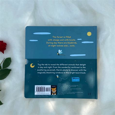 Switch-a-Picture Day and Night – Zoey