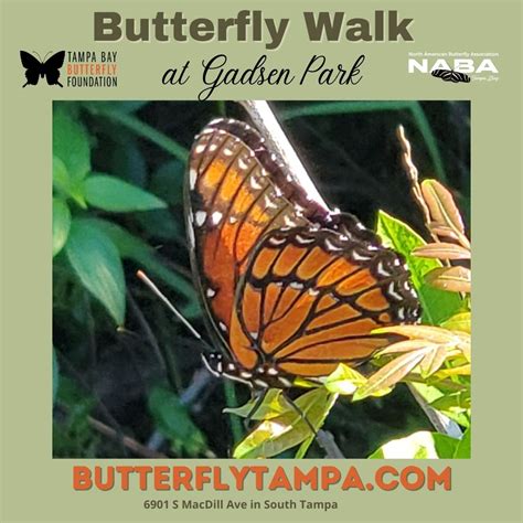 Upcoming Events – Tampa Bay Butterfly Foundation