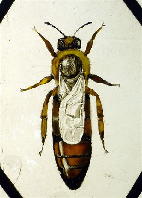 Glass Color 的图像结果