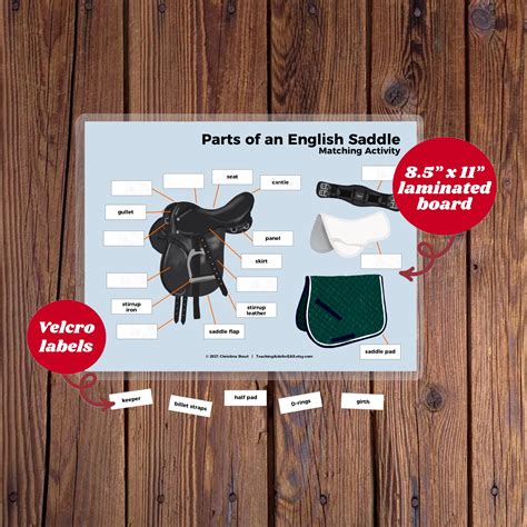 Parts Of The English Saddle