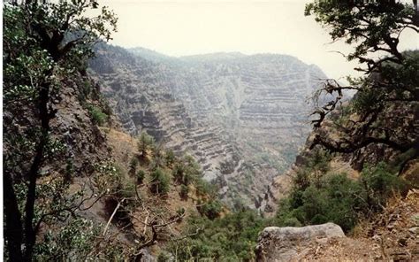 DAY FOREST NATIONAL PARK (2026) All You Need to Know BEFORE You Go ...