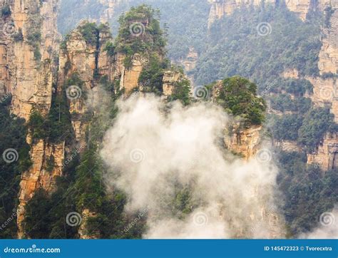 Avatar China 的图像结果