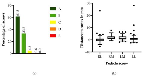 First Clinical Experience with a Novel 3D C-Arm-Based System for ...