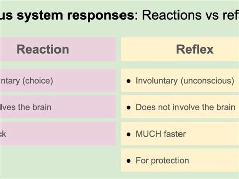 Hyperactive Reflexes 的图像结果