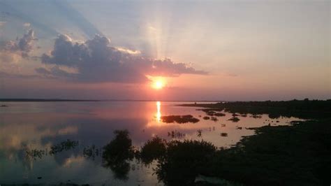 Halali Dam (Bhopal) - 2021 What to Know Before You Go (with Photos ...