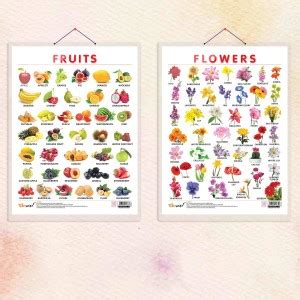 FRUITS CHART HARD LAMINATED and FLOWERS CHART HARD LAMINATED | combo of ...