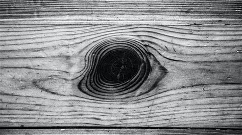 Download wallpaper 2560x1440 boards, wooden, bw, surface widescreen 16: ...