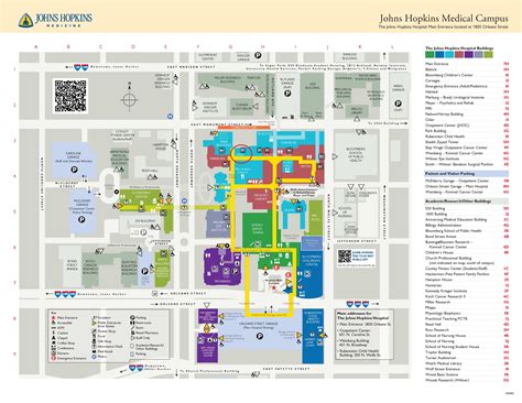 Contact - Xiao Yang Lab at Johns Hopkins Biomedical Engineering