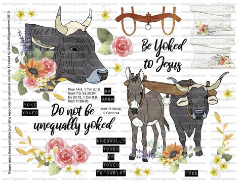 What Is A Yoke From The Bible at Marcos Hines blog