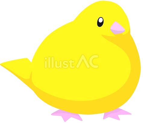 Image result for Selection Programming Python Example