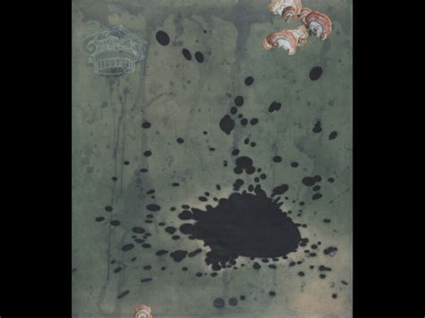 Tanja Softić | Meer