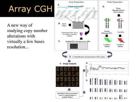 Image result for CGH Array Tutorial
