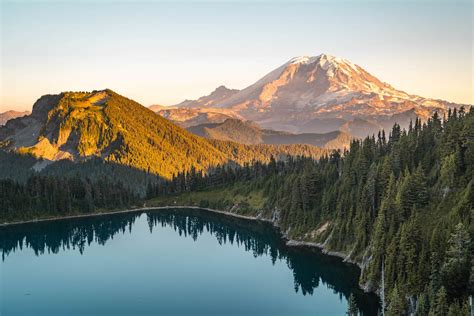 Image result for Nature Sample