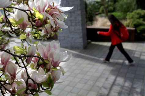 Seattle University Acceptance Rate