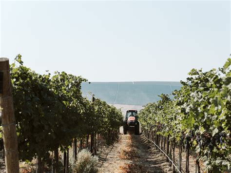 OUR STORY | Crafting Exceptional Washington Wines Since 1999 — Mark ...