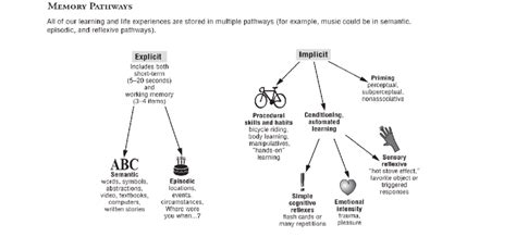 Memory Pathways 的图像结果