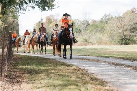 Fancy Forest Farm – Beautiful guided horseback riding, just south of ...