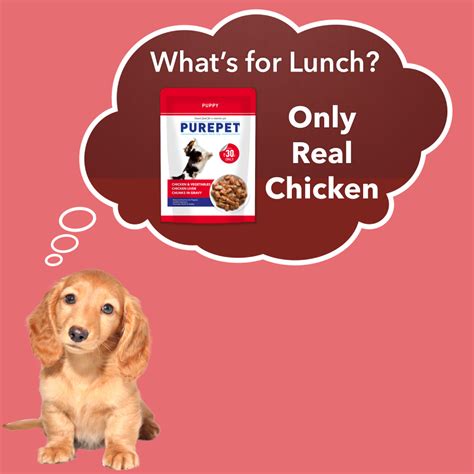 Buy Purepet Chicken & Vegetable Chunks in Gravy Adult Dog Wet Food ...