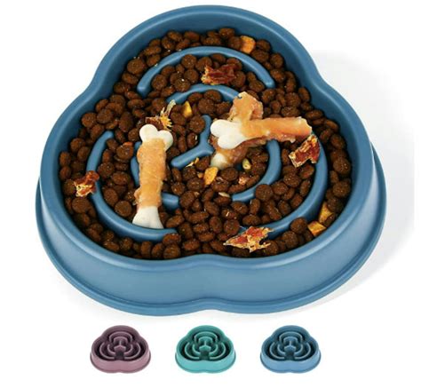 Best slow feeder dog bowls to calm your pet