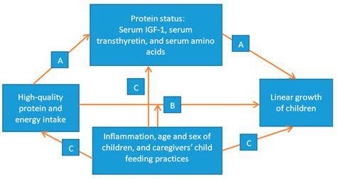 Associations among High-Quality Protein and Energy Intake, Serum ...