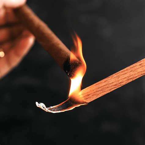 Spanish Cedar Spills - 120 Pack – Case Elegance