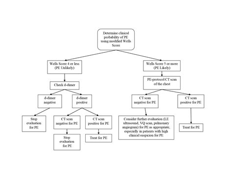 Pulmonary Embolism Algorithm 的图像结果