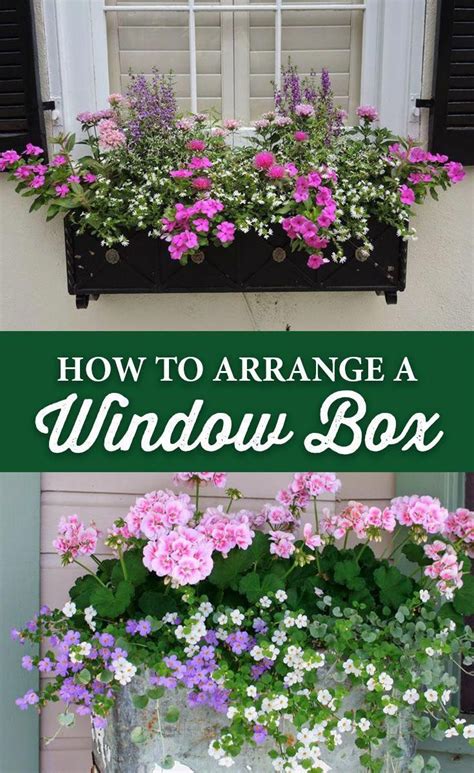 How to Build a Window Box 的图像结果
