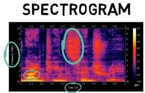 Dynamic Programming Speech Recognition Algorithm 的图像结果