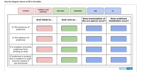 Image result for ATH Operon Positive Control and Negative Control Diagram