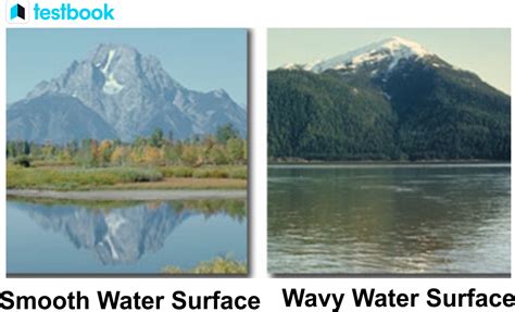 Image result for Reflection of Light