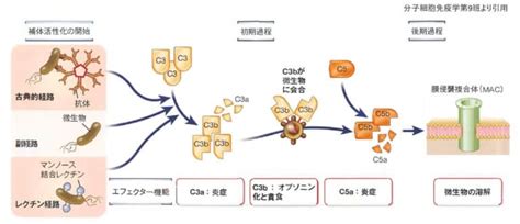 Image result for Intangible Assets Types