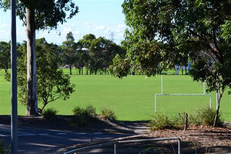 Burnt Sportsfield 的图像结果