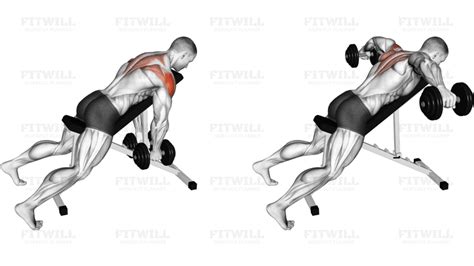 Image result for Lateral Row Exercise