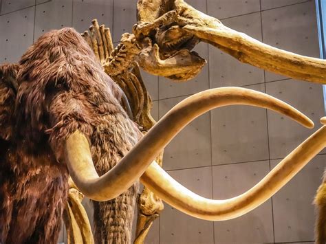 Lost Civilizations:  Exploring Extinct Peoples