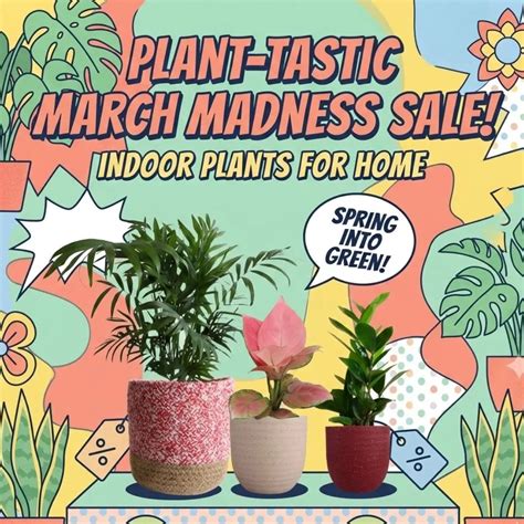 Buy Plants Online | Greenkin - India's Best Online Plant Nursery