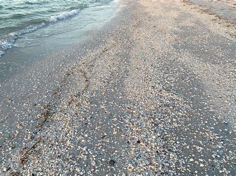 SANIBEL INN - Resort Reviews, Photos, Rate Comparison - Tripadvisor