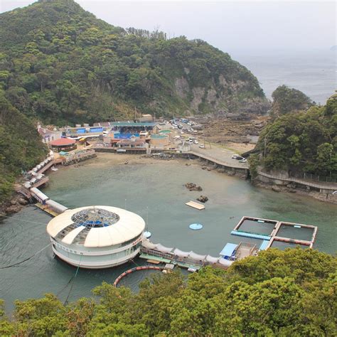 SHIMODA AQUARIUM (2025) All You Need to Know BEFORE You Go (with Photos ...