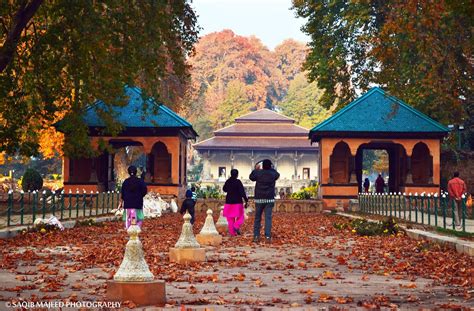 Most Beautiful Pictures of Autumn In Jammu And Kashmir