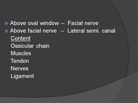Anatomy Of Ear | Structure, Function & Parts - ASLPclick