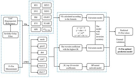 Continuous Wavelet Transform and Back Propagation Neural Network for ...