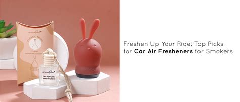 9 Best Car Air Freshener Perfume for Smokers in 2024 – Aromahpure