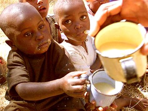 Zimbabwe will kill 200 elephants and distribute the meat