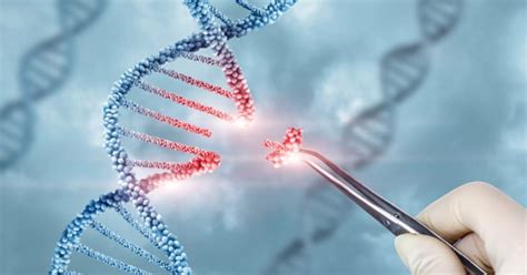 Beethoven's genome map reveals clues about his history