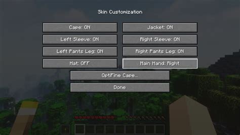 Image result for How to Use Off Hand Item in Minecraft Java
