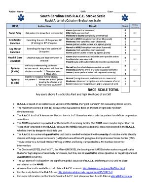 Race Stroke Scale - Fill and Sign Printable Template Online